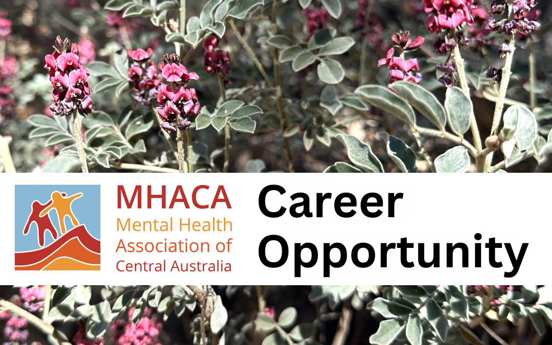 Mental Health Recovery Worker (male identified)
